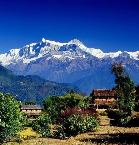 Yoga Alliance School In Nepal